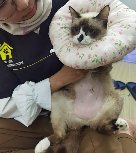 Petunia Animal Clinic