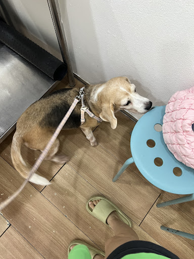 Klinik Veterinar Tasik Prima