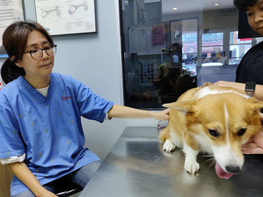Small Animals Veterinary Medical Center