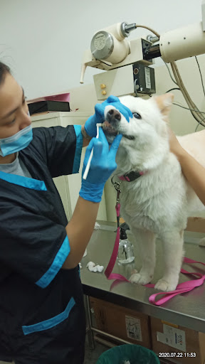 Klinik Haiwan Kinraravets