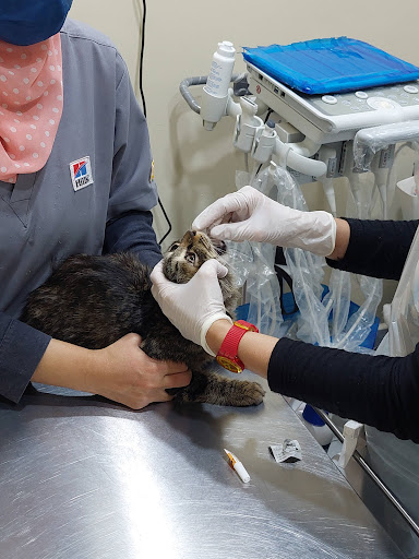 Klinik Haiwan & Surgeri Afiyahvet Sg Udang