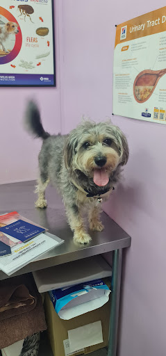 Ministre' Of Pets Veterinary Clinic