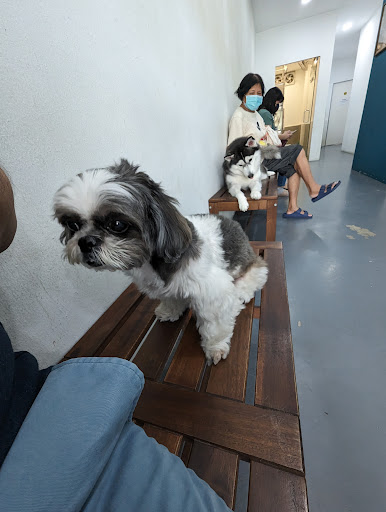 Living Hope Animal Clinic & Surgery