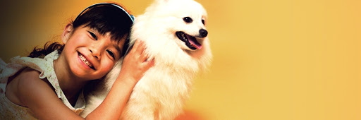 Petdiatric Laboratories