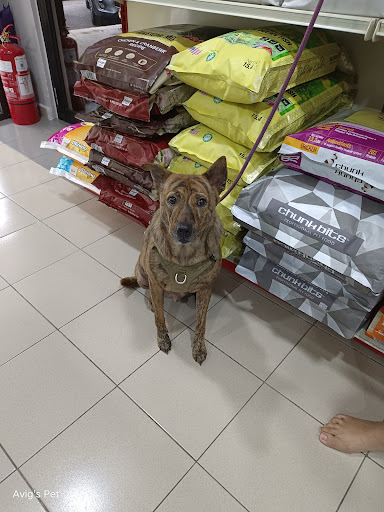 Avig's Pet Supplies