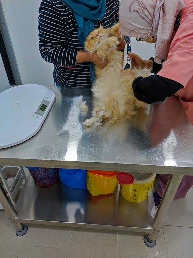 Supervet Veterinary Clinic