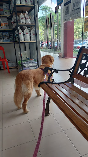 Caring Veterinary Centre