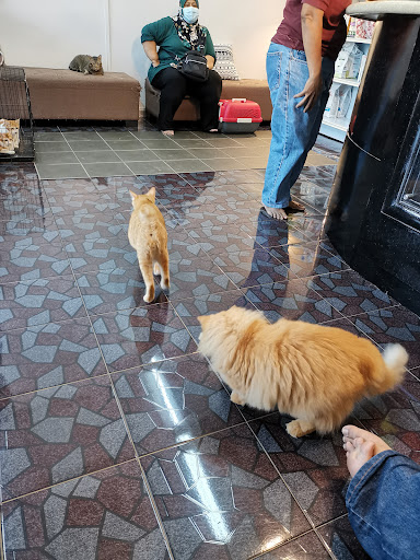 Serv-U Veterinary Clinic & Surgery ( Klinik Haiwan Serv-U)