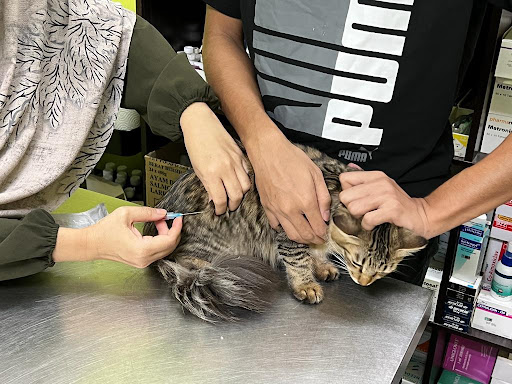 Aman Cekal Veterinary Clinic