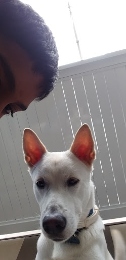 GK Pet shop Klinik haiwan nilai