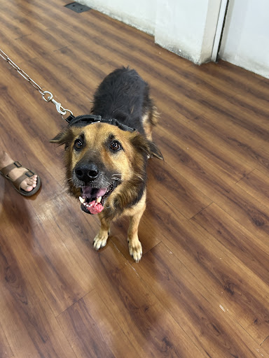 KLINIK VETERINAR PUTRA NILAI