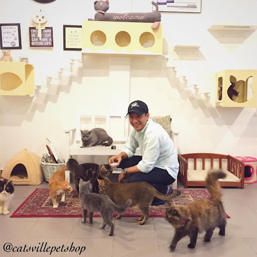 Catsville Pet Shop