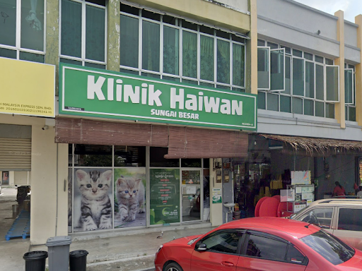 Klinik Haiwan Sungai Besar