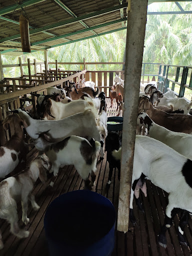 Pejabat Perkhidmatan Veterinar Daerah Sabak Bernam
