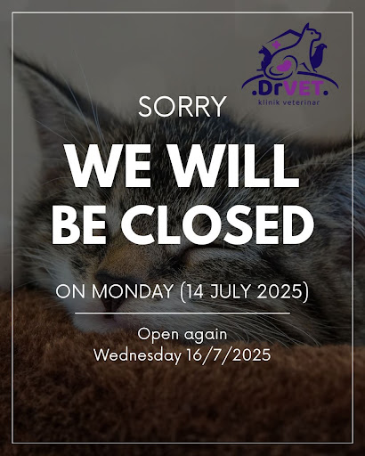 DRVET KLINIK VETERINAR KT (JALAN TOK ADIS, KUALA IBAI)