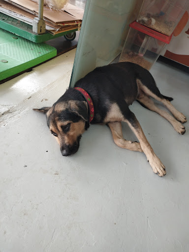 BP Pet Centre