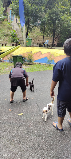 تامن كوچيڠ Taman kucing