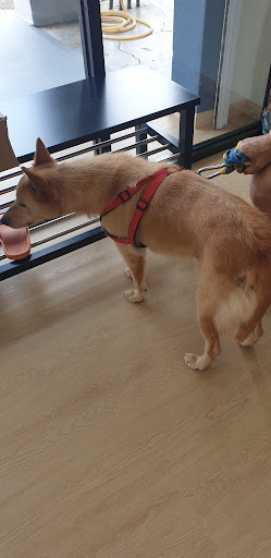 Forest Heights Klinik Veterinar & Surgeri