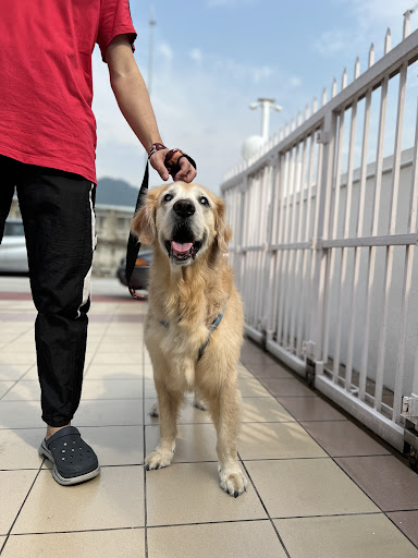Grace Veterinary Centre