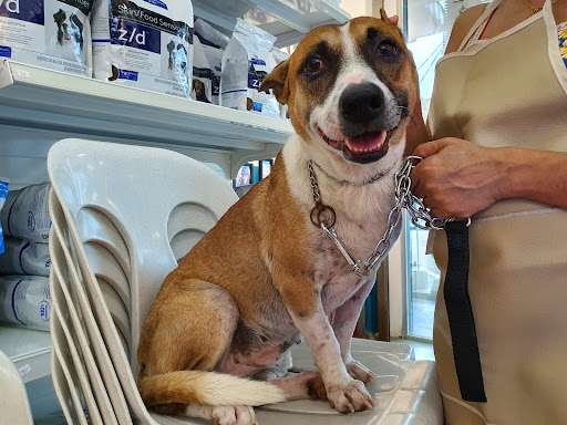 VENICE VETERINARY CLINIC