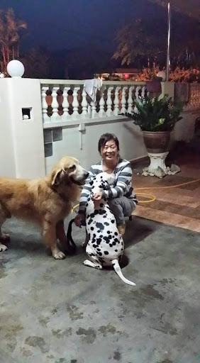 Lim Animal Clinic