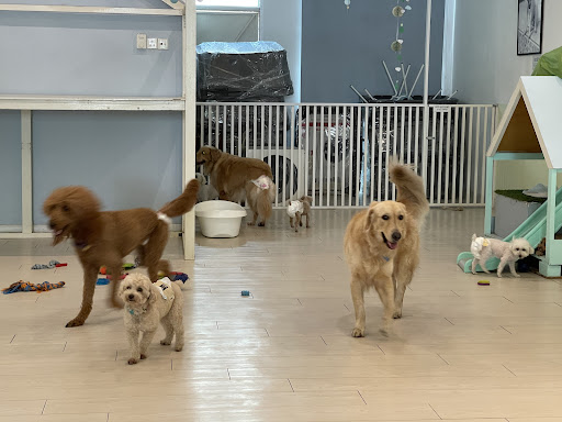 Nanny McPaw dog hotel