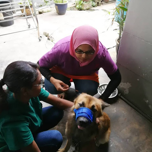 Pawsitive Pet Animal Clinic