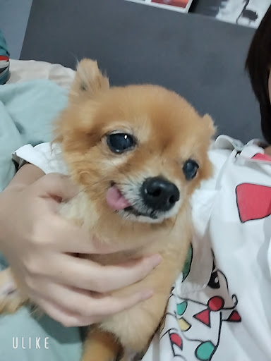 Nagavet Animal Clinic