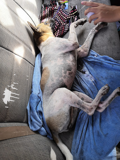 Pejabat Perkhidmatan Veterinar Daerah Larut, Matang dan Selama