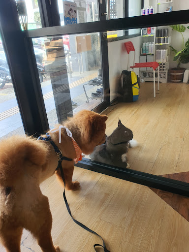 Petsville Animal Clinic