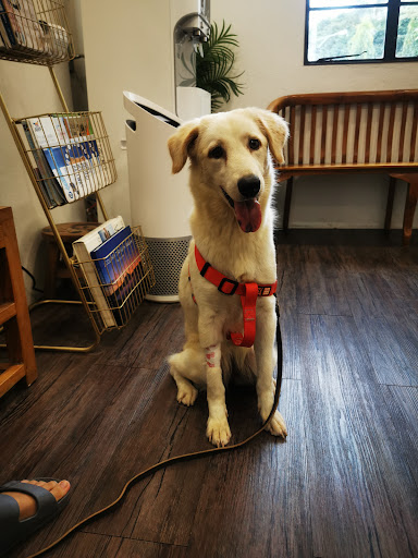 Loch 11 Animal Clinic