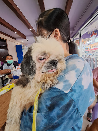 Purple Paws Veterinary Clinic Tawau