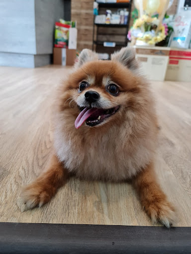 Anypets Veterinary Clinic