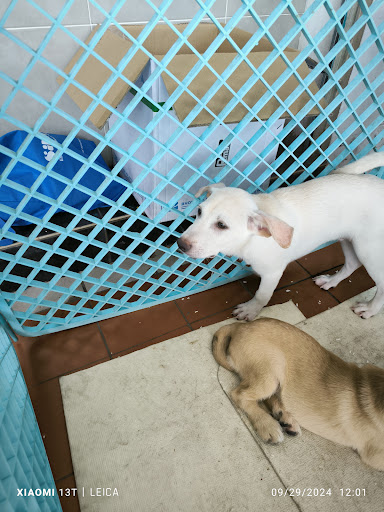 PM Veterinary Clinic • Batu Kawa