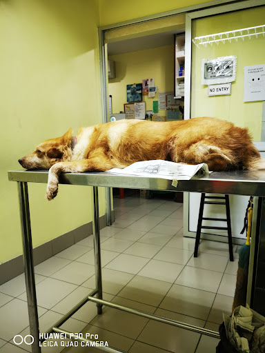 City Veterinary Centre