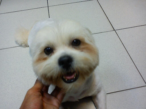 Bettie Veterinary Clinic & Surgery