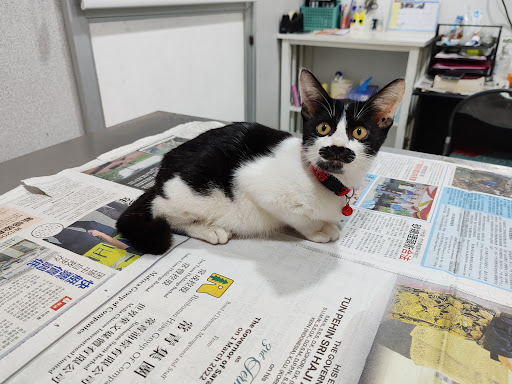 Petpal Animal Clinic
