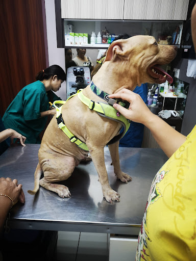 Paws & Claws Animal Clinic