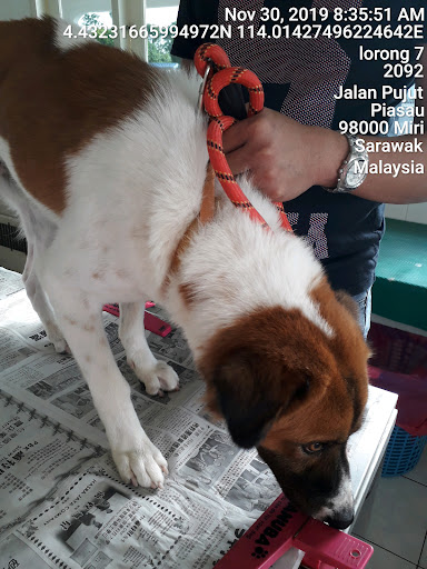 Live Animals Medical Centre
