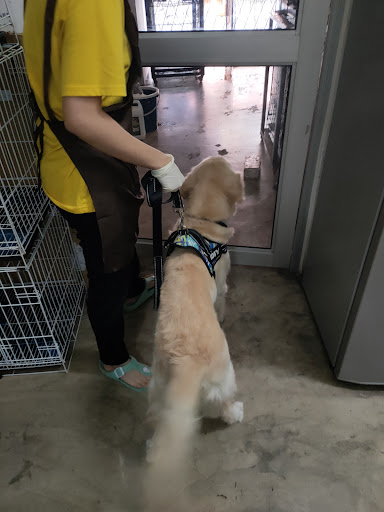 J&J Animal Clinic