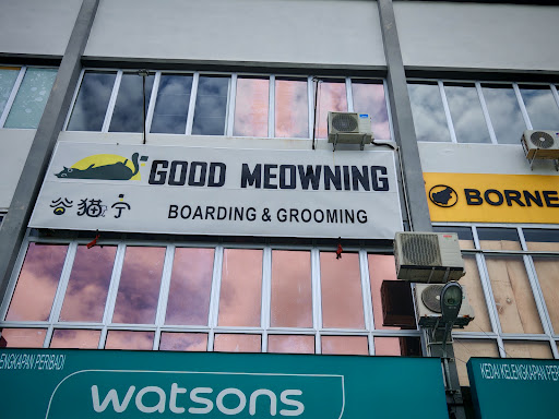 Good Meowning