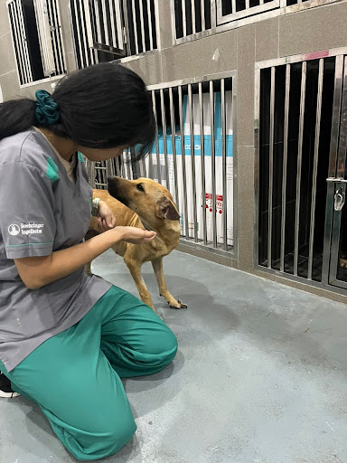 Pawesome Tails Veterinary Clinic