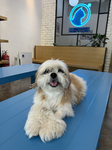 KLINIK HAIWAN iVET PETCARE Bandar Kinrara 5