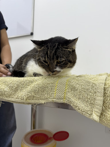 BYKA VETERINARY CLINIC