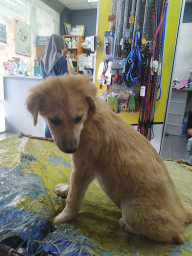 Passionate Animal Clinic Rawang