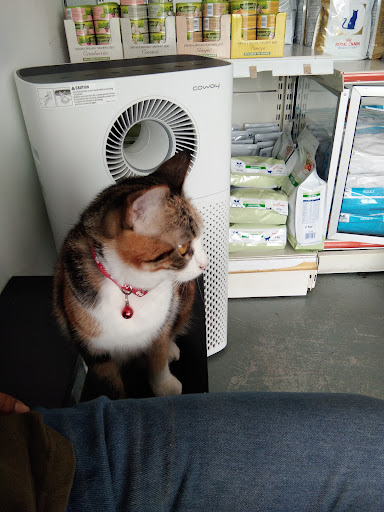 Jul's Veterinary Clinic