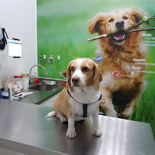 Majestic Animal Medical Centre (MAMC)