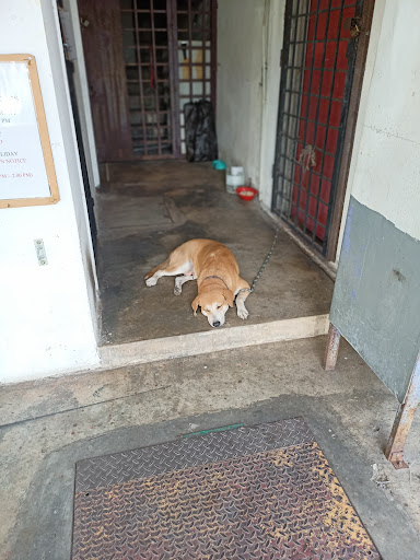 Animal Health Clinic (Klinik Kesihatan Haiwan)
