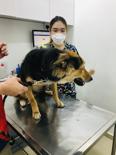 JB Animal Medical Clinic
