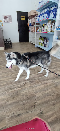 Koh Veterinary Service